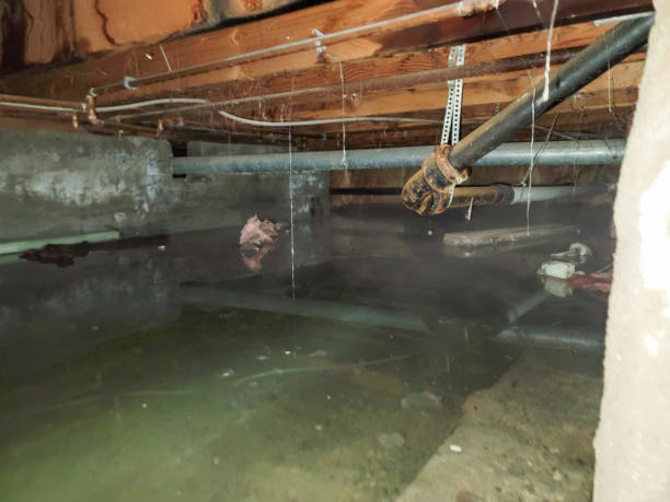 Best Commercial water damage restoration  in Bayside Gardens, OR