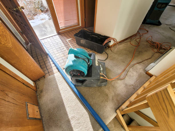 Best 24-hour water damage restoration  in Bayside Gardens, OR