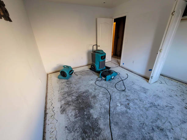 Best Flood restoration services  in Bayside Gardens, OR