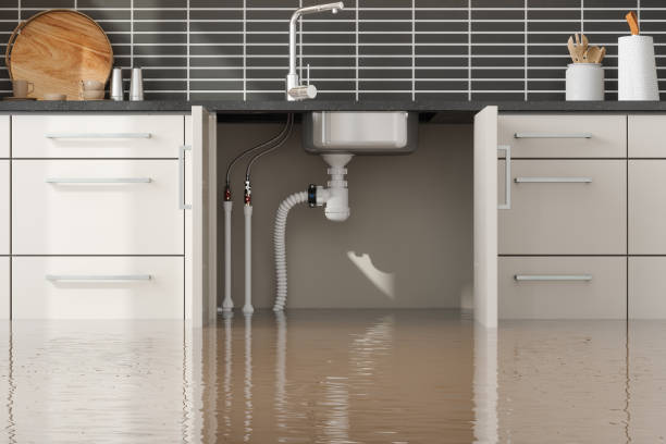 Best Professional water damage repair  in Bayside Gardens, OR