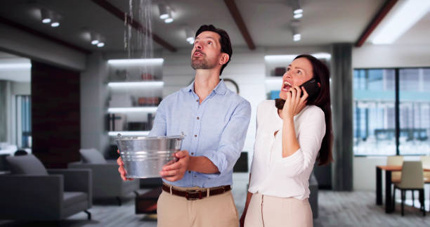 Best Professional water damage repair  in Bayside Gardens, OR