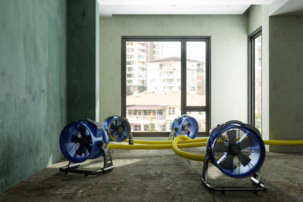 Best Fire Damage Restoration  in Bayside Gardens, OR