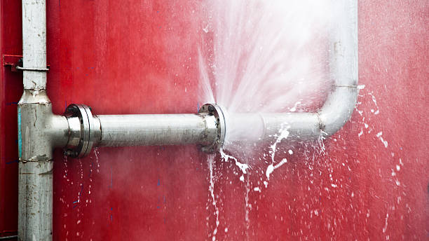 Best Carpet water damage restoration  in Bayside Gardens, OR